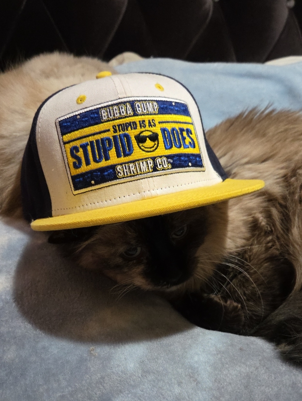 Bubba Gump Stupid Does Shrimp Co. Yellow & Navy Trucker Cap
